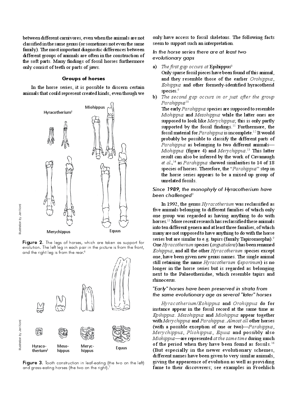 Evolution Of The Horses - Page 3