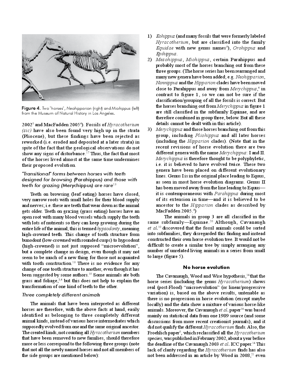 Evolution Of The Horses - Page 4