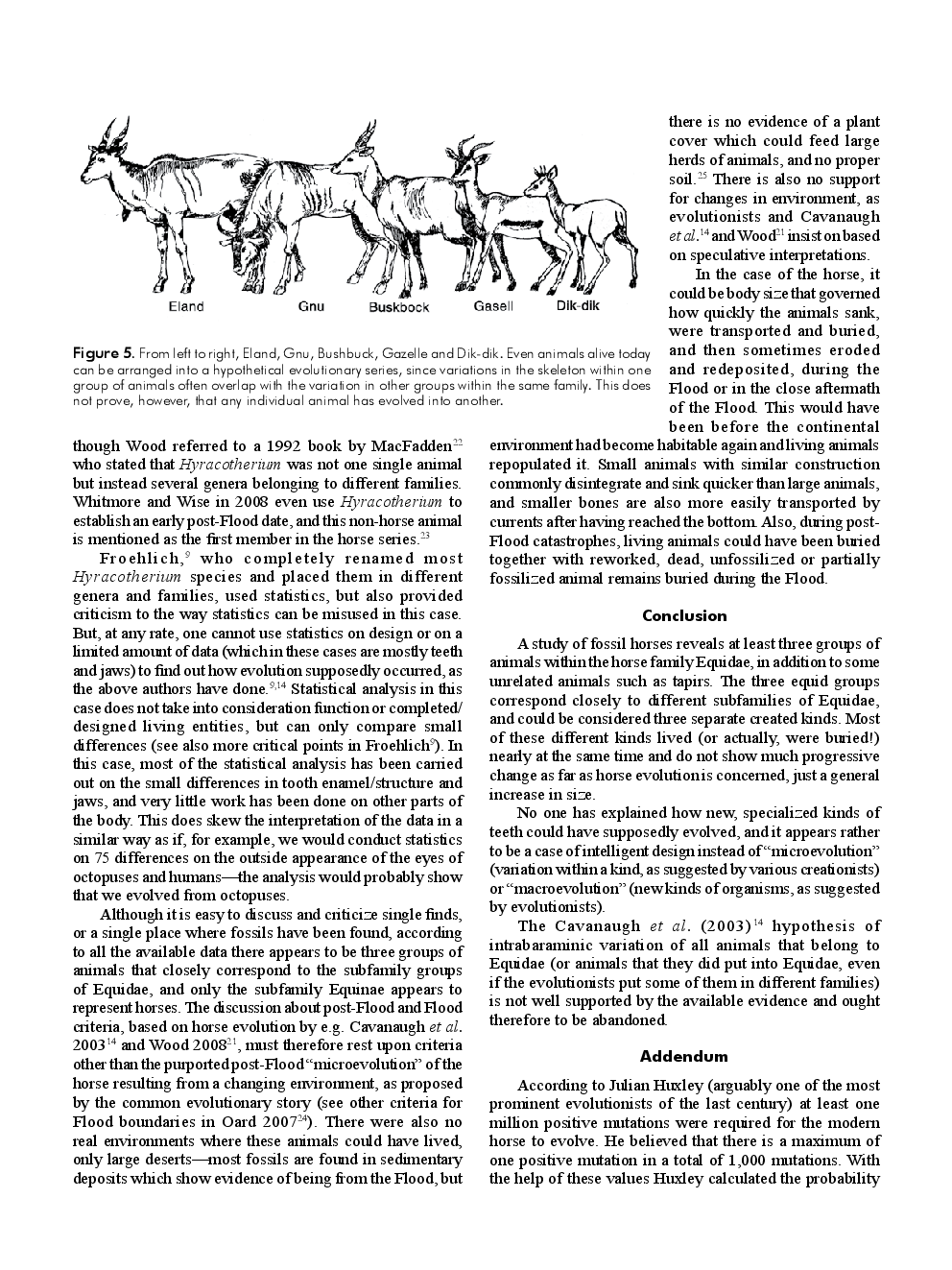 Evolution Of The Horses - Page 5