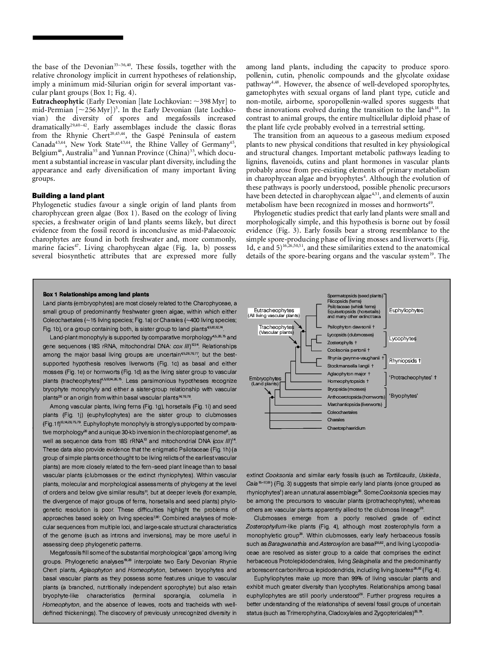 Evolution Of The Plants On Land - Page 3
