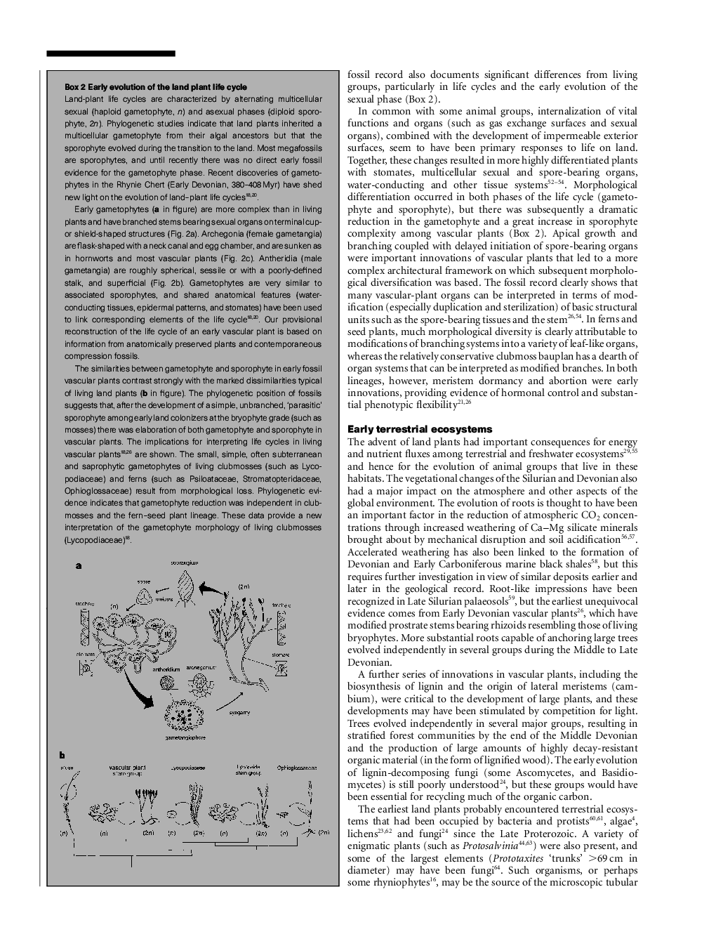 Evolution Of The Plants On Land - Page 5