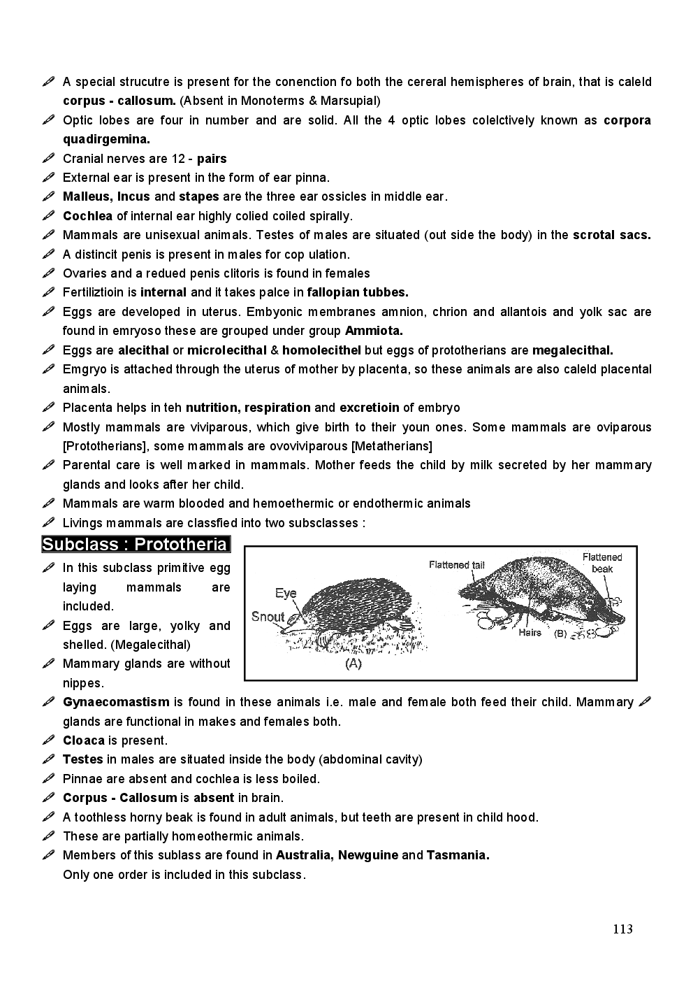 Mammalian - Page 3