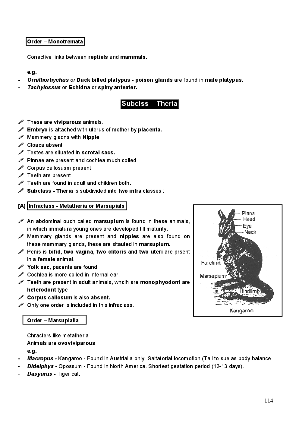 Mammalian - Page 4