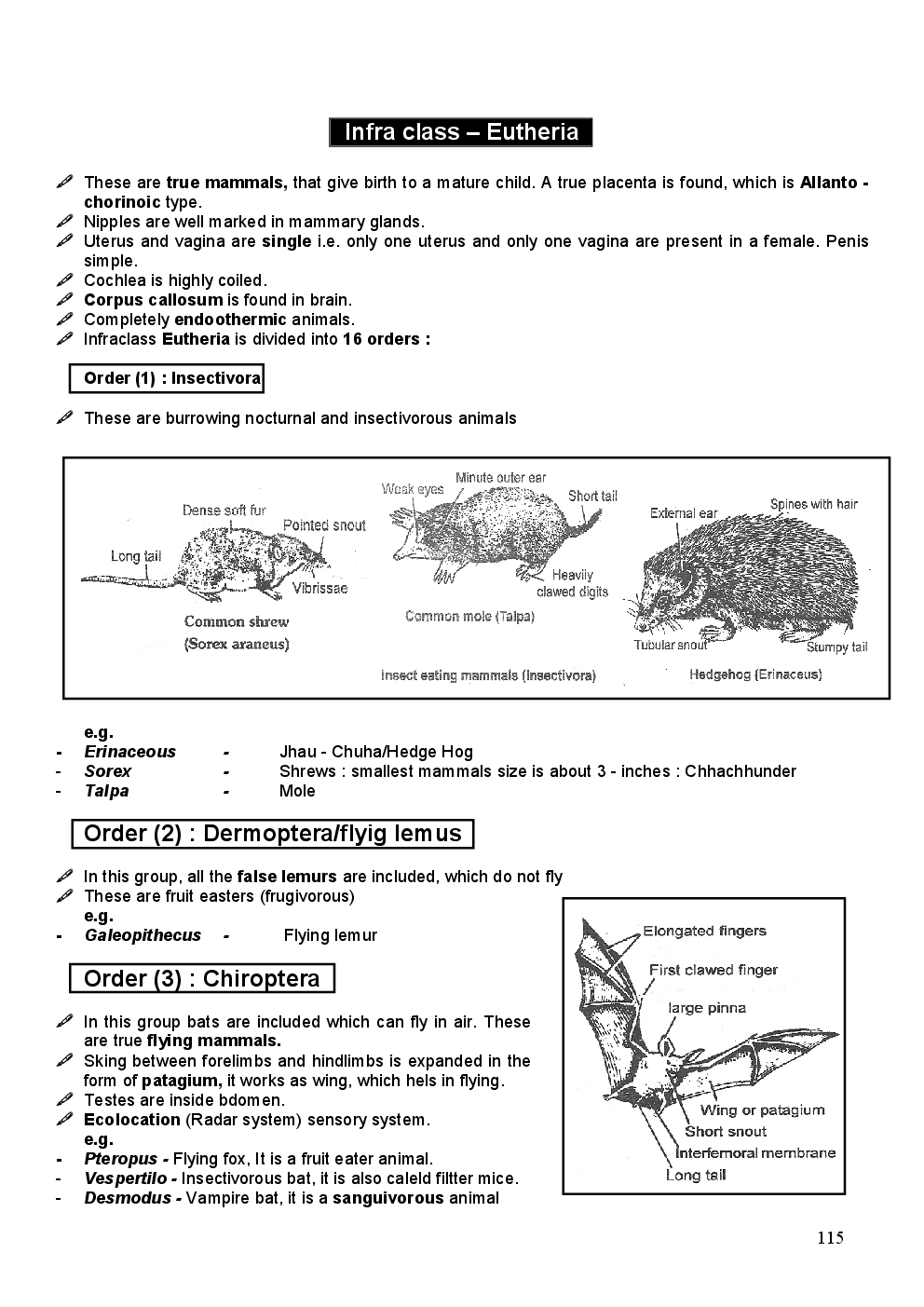 Mammalian - Page 5