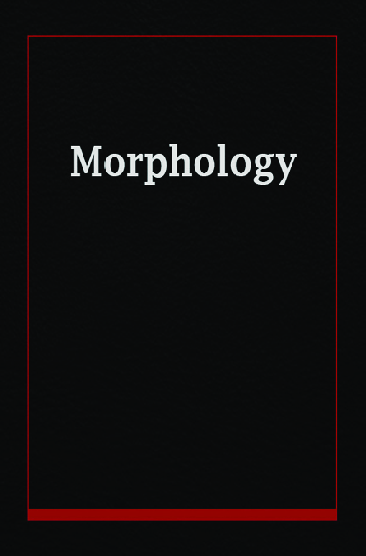 Morphology  - Page 1