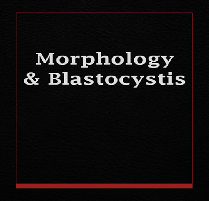 Morphology And Blastocystis - Page 1