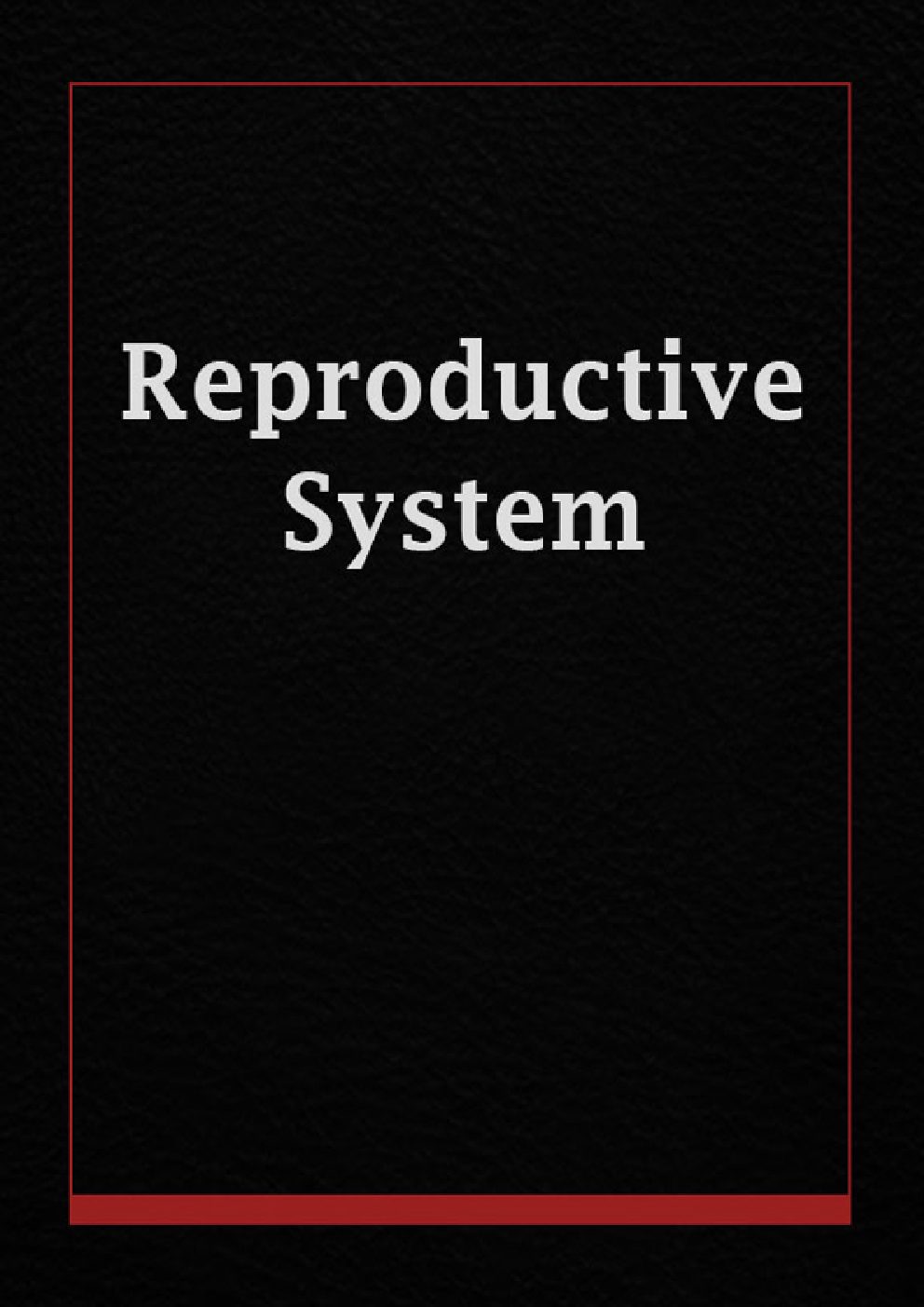 Reproductive System - Page 1