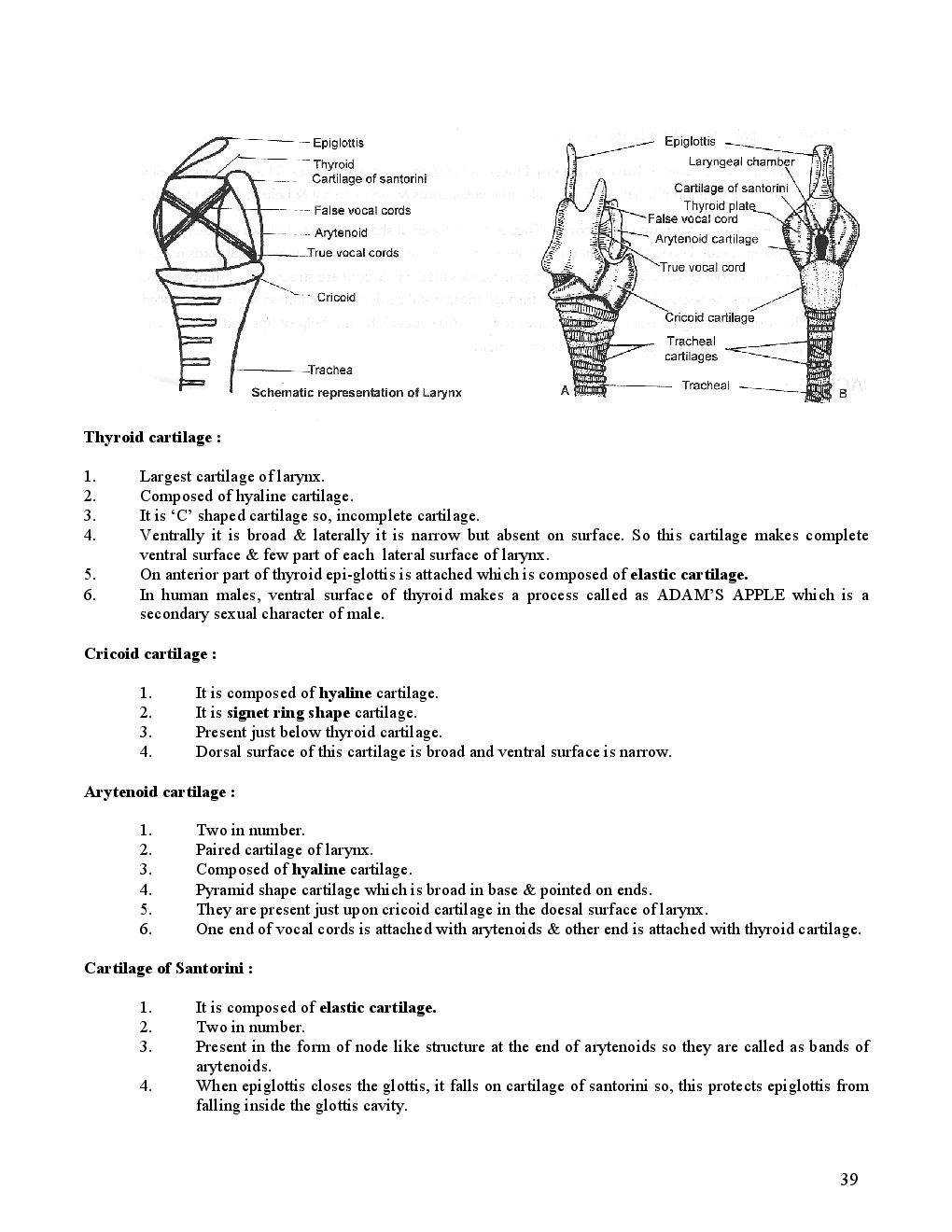 Respiratory system - Page 4