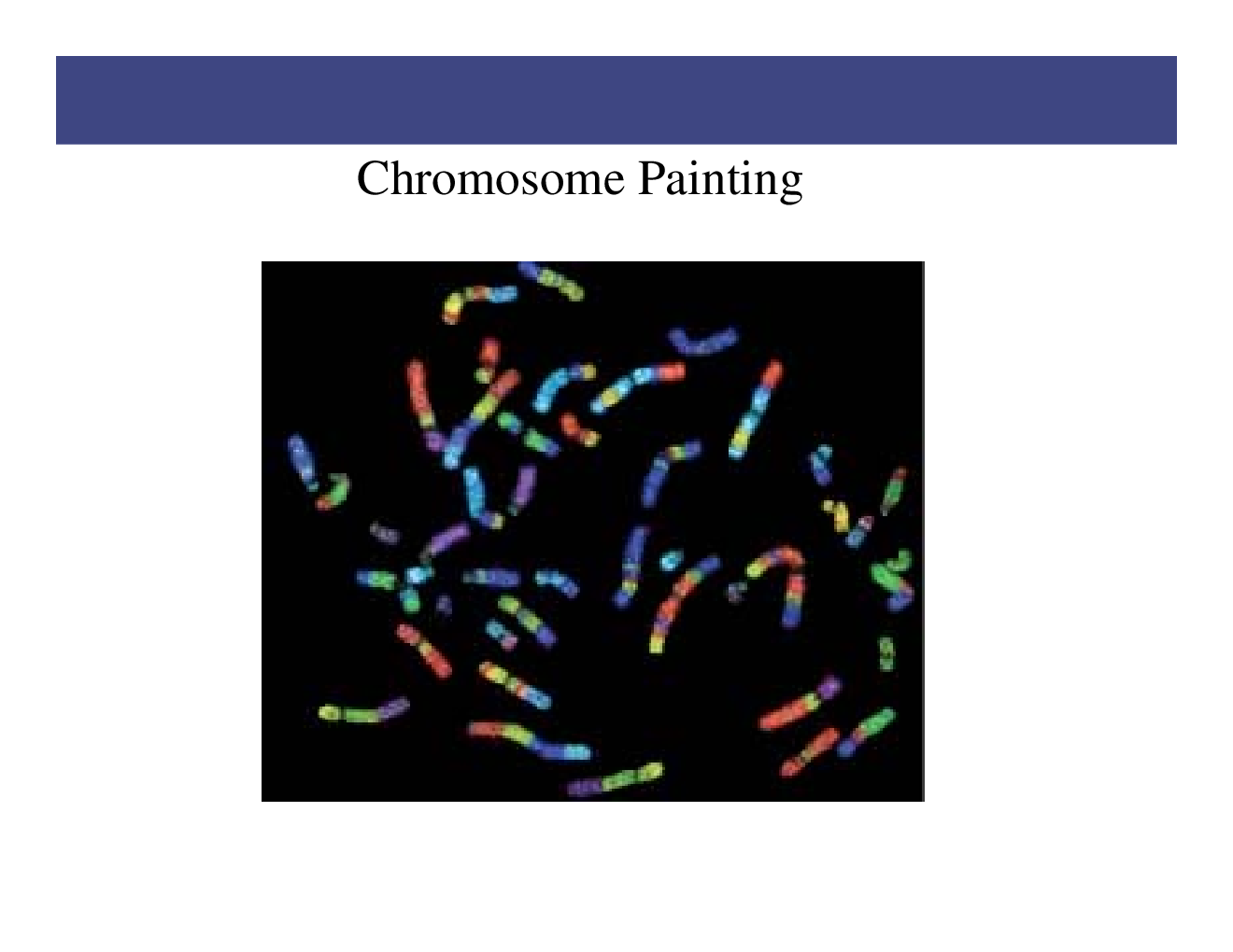 RNA Synthesis And Processing - Page 4