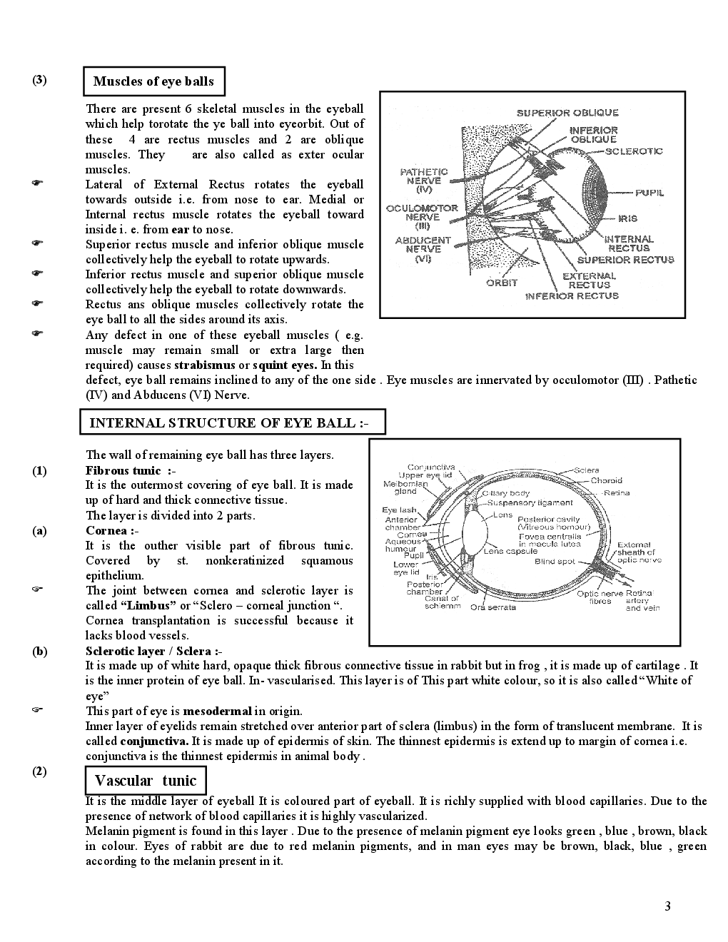 sensory Organs  - Page 4