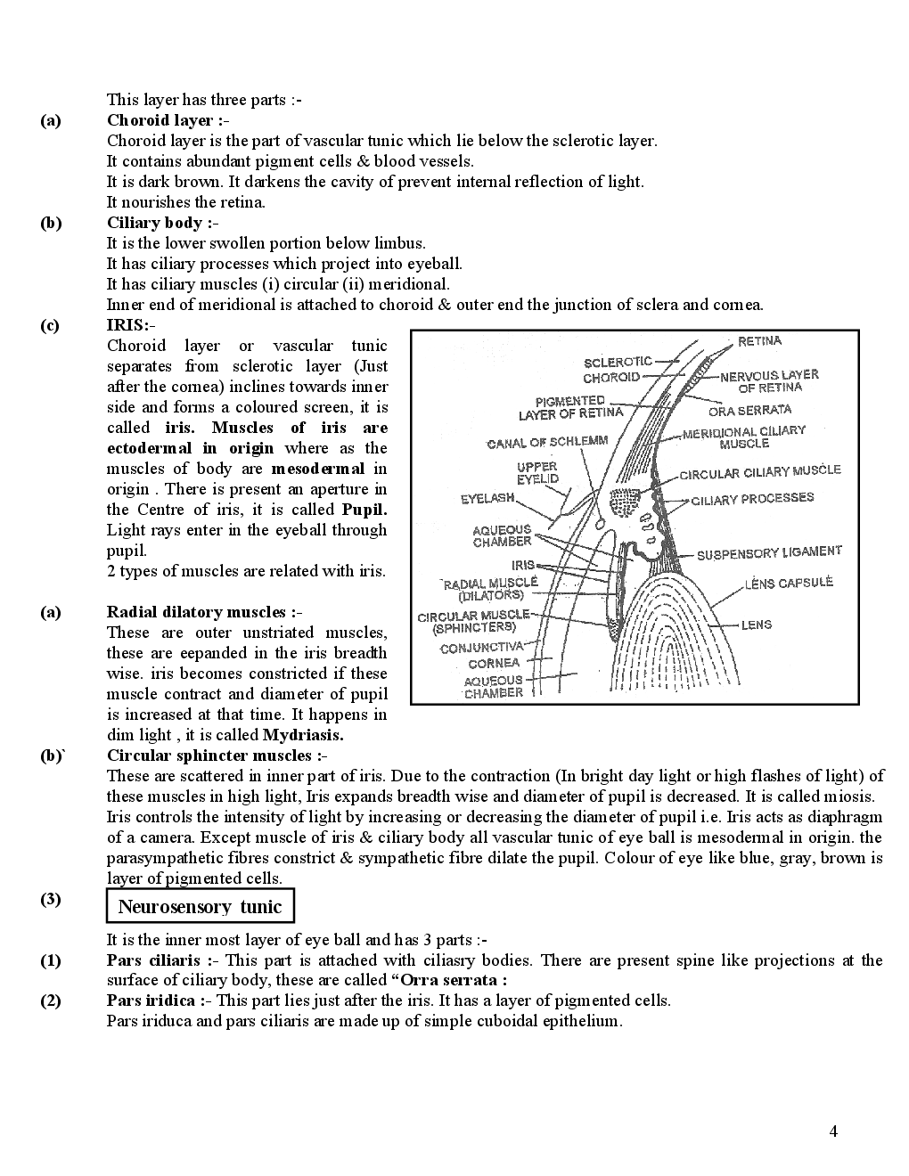 sensory Organs  - Page 5