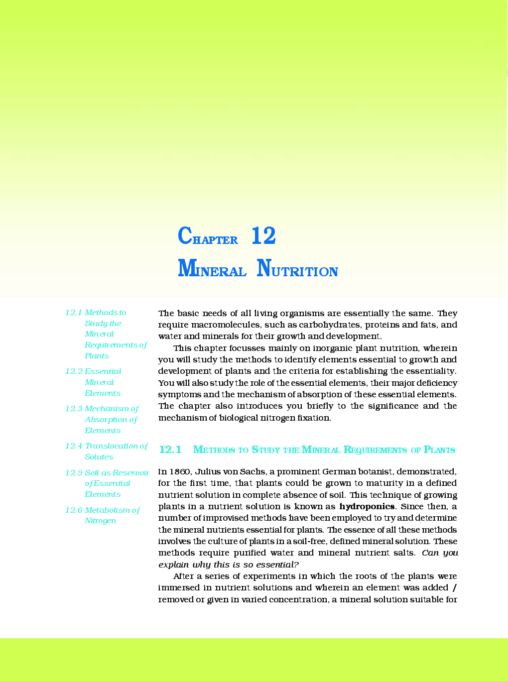 Mineral and Nutrition  - Page 2