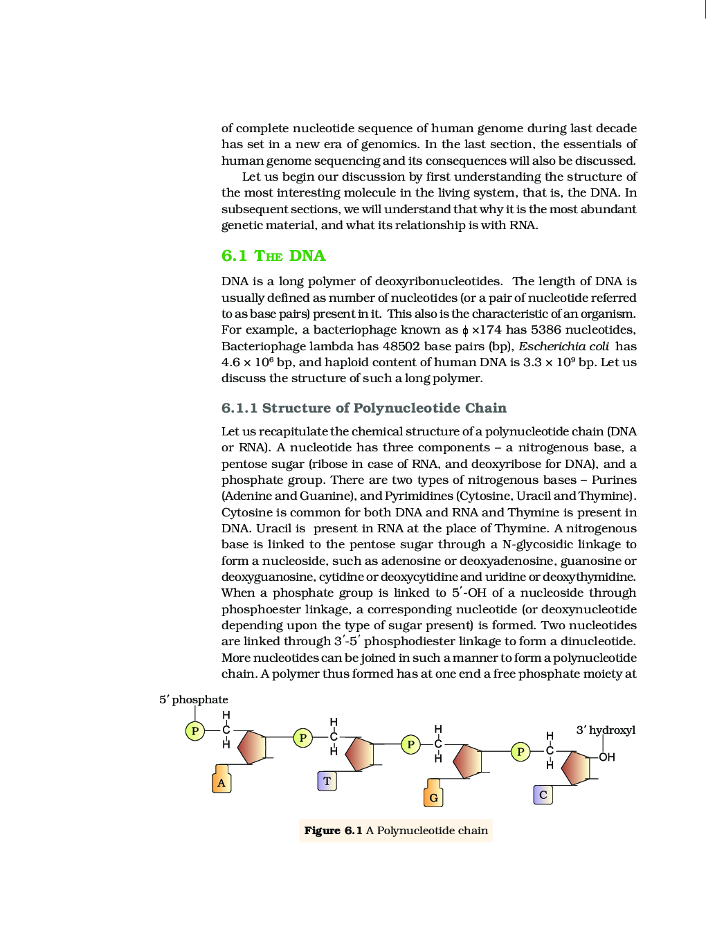 Molecular Basis Of Inheritance - Page 3