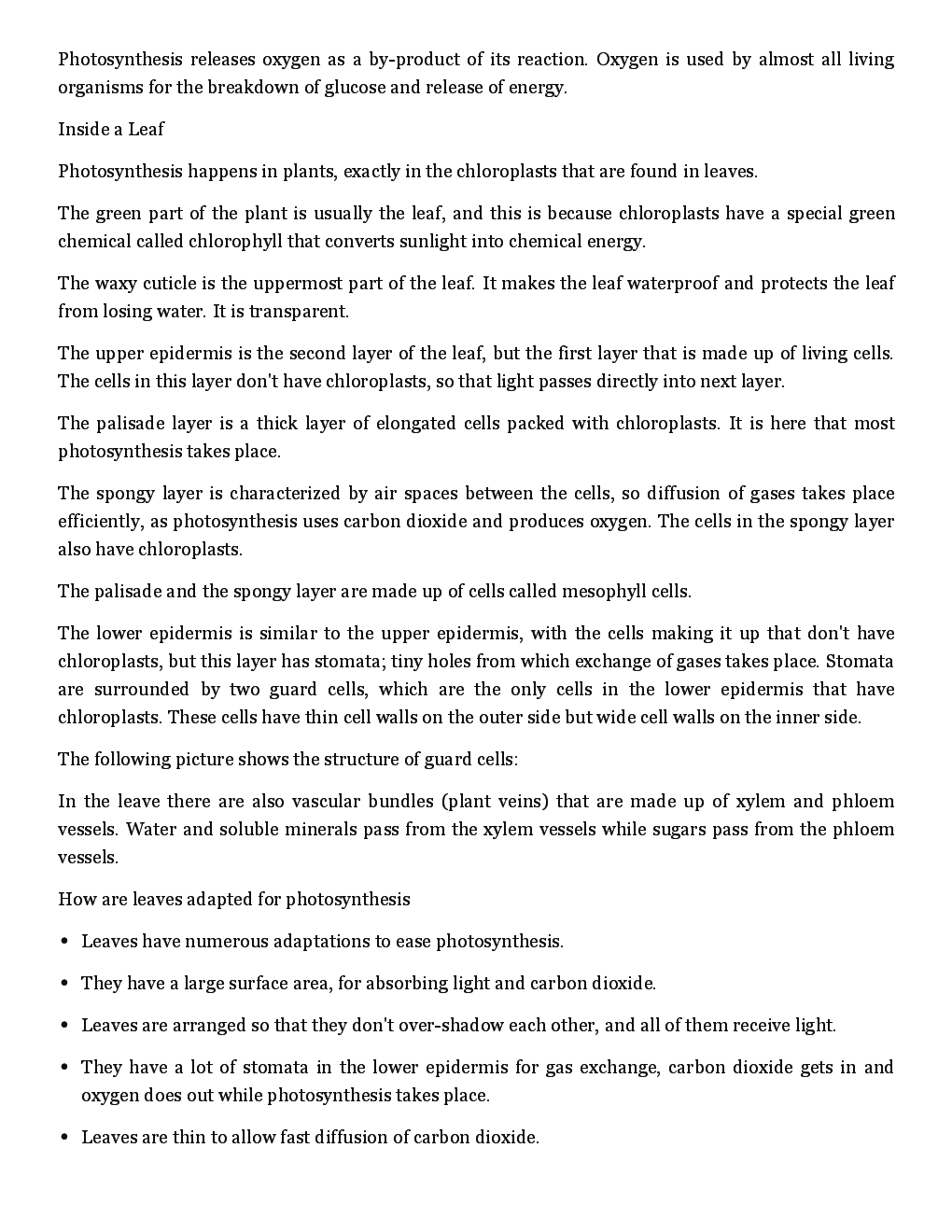 Photosynthesis  - Page 3