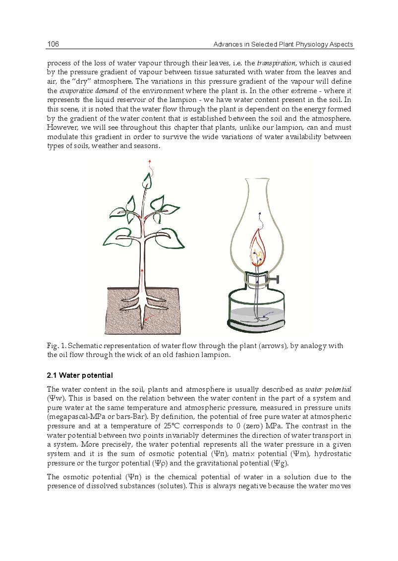 Plant and Water Relation - Page 3