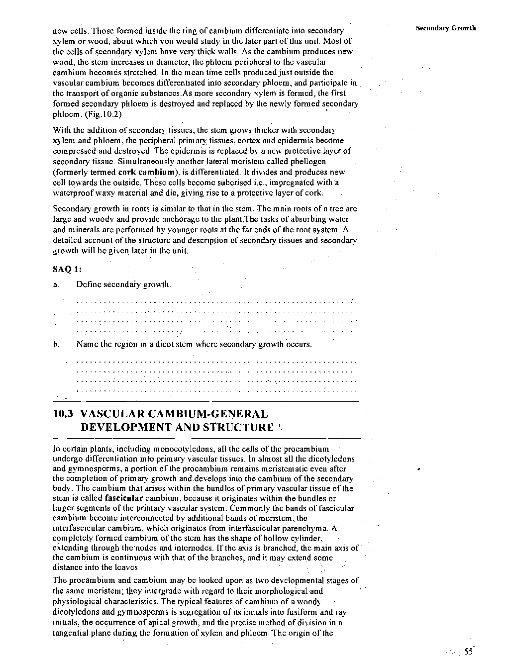 Secondary Growth - Page 5