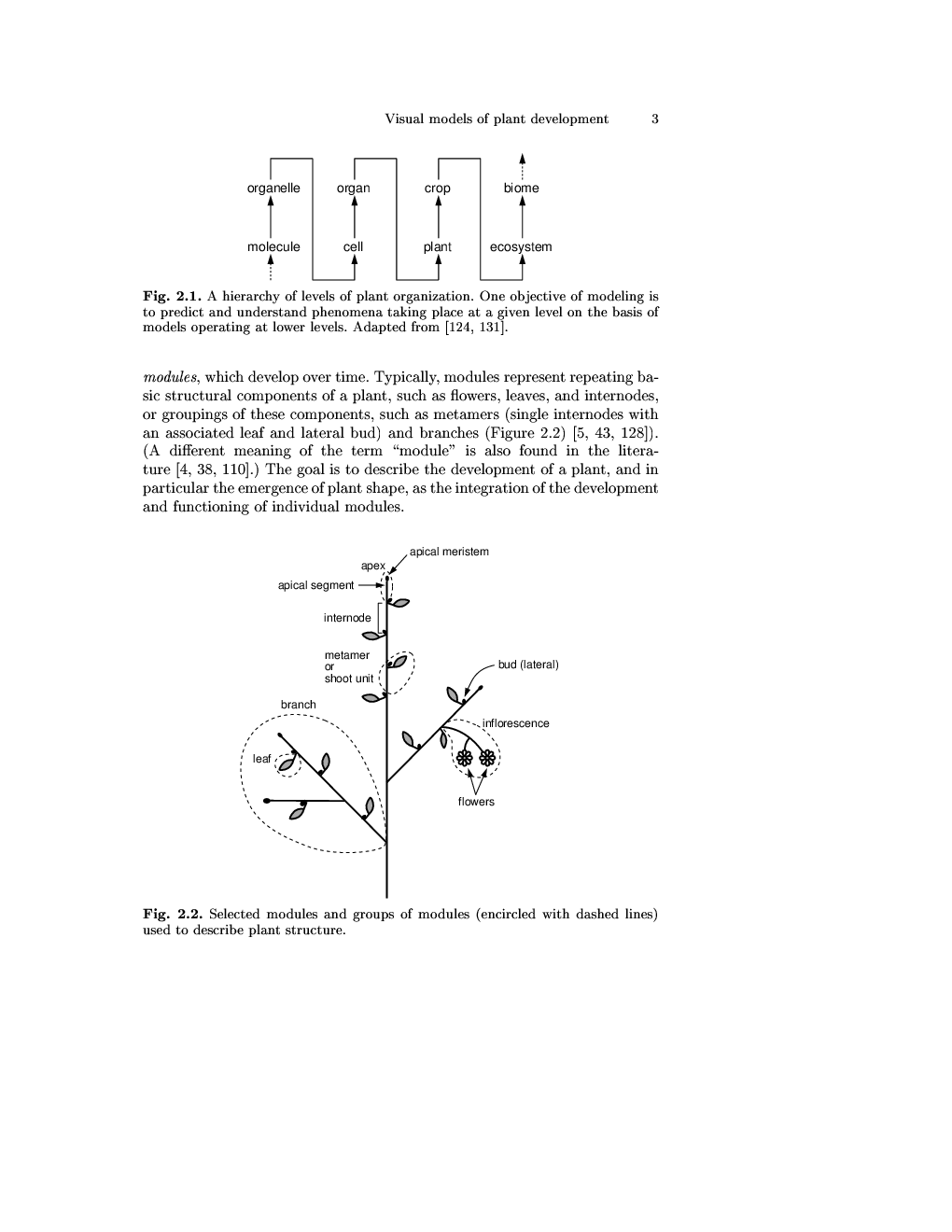 Visual Model Of Plant Development  - Page 4