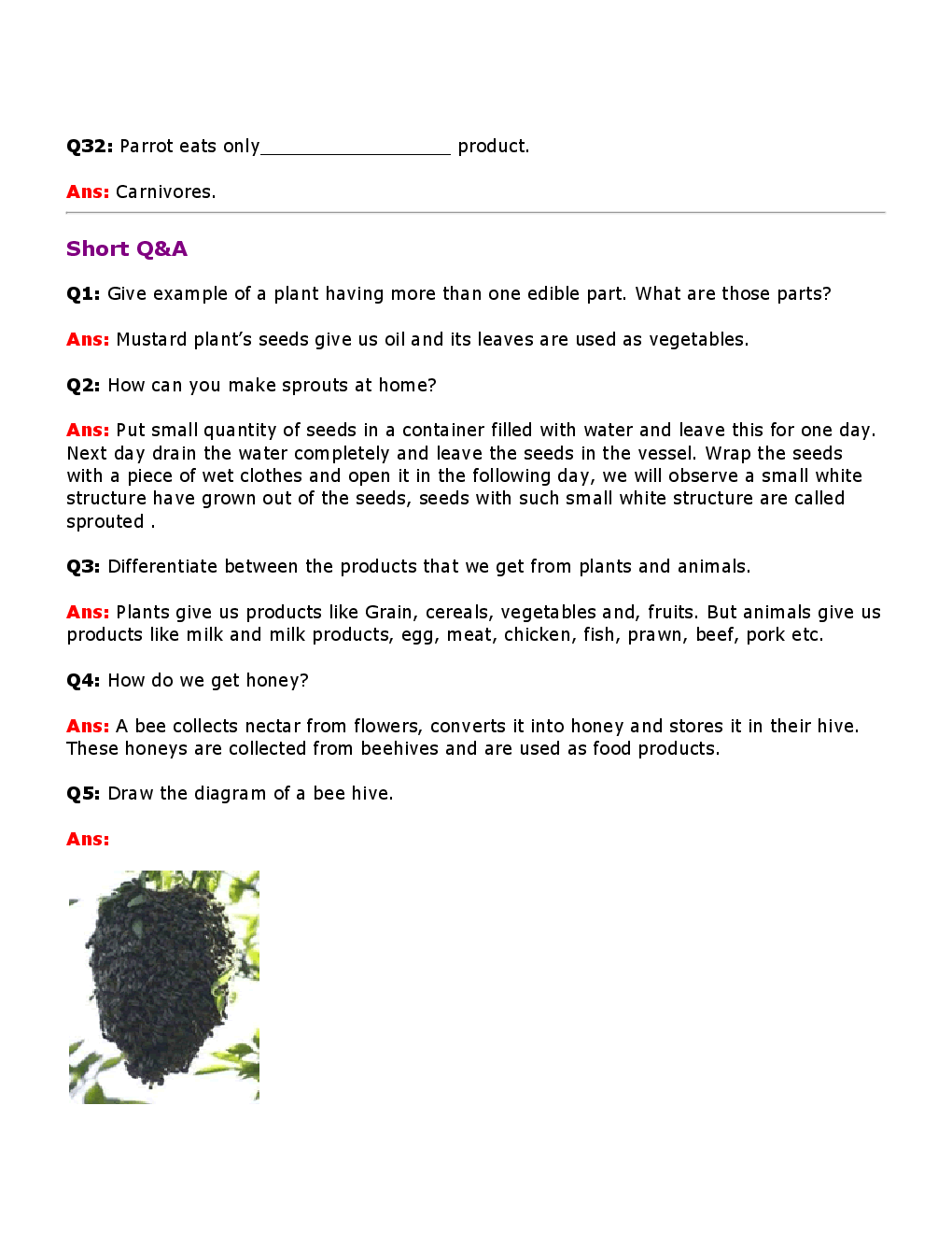 Value  Based  Questions  Science  For  Class -VI - Page 5