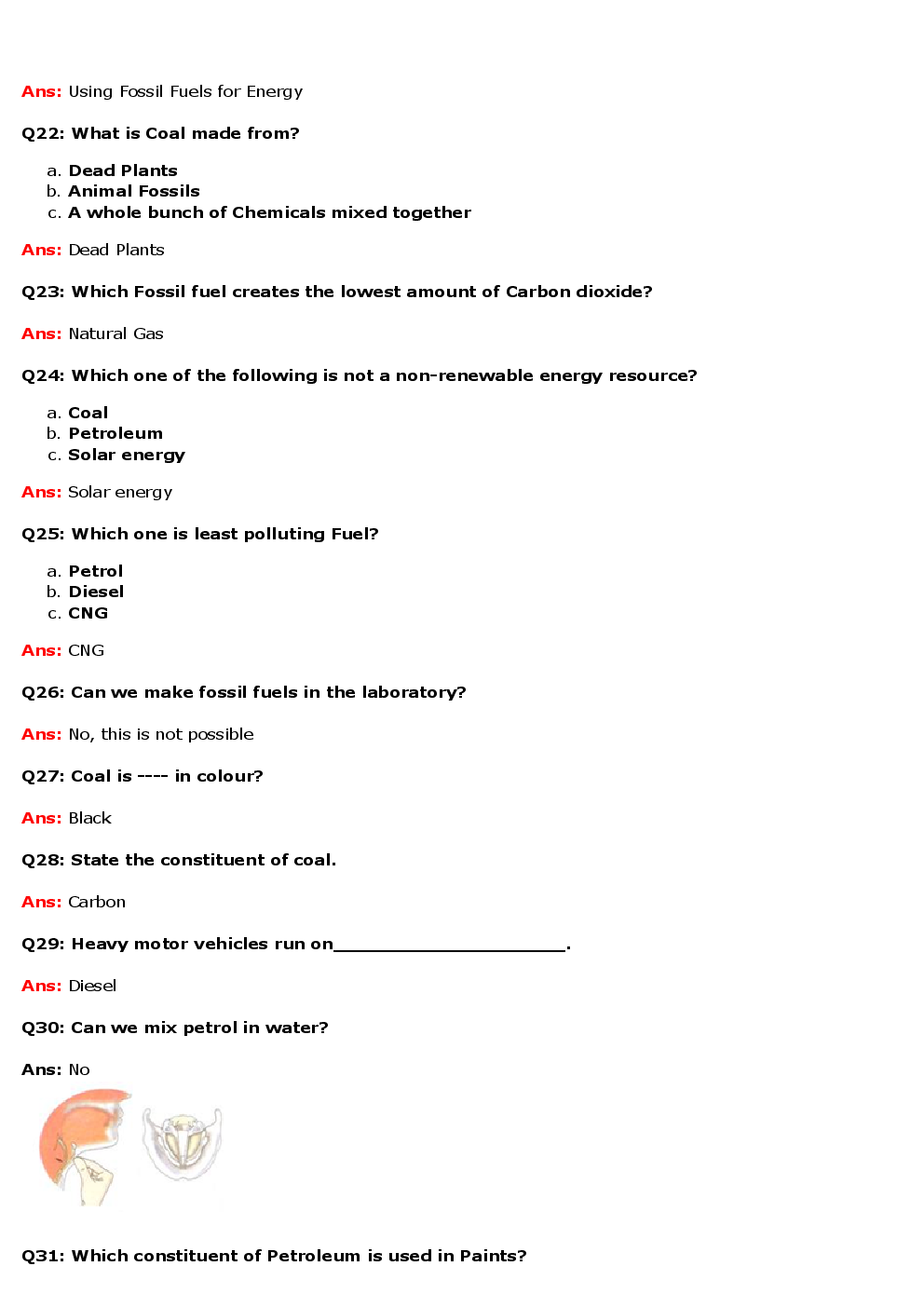Value Based Questions Science For Class - VIII - Page 4