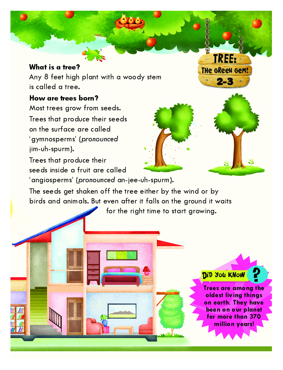 Know All About Trees : The Green Gem - Page 5