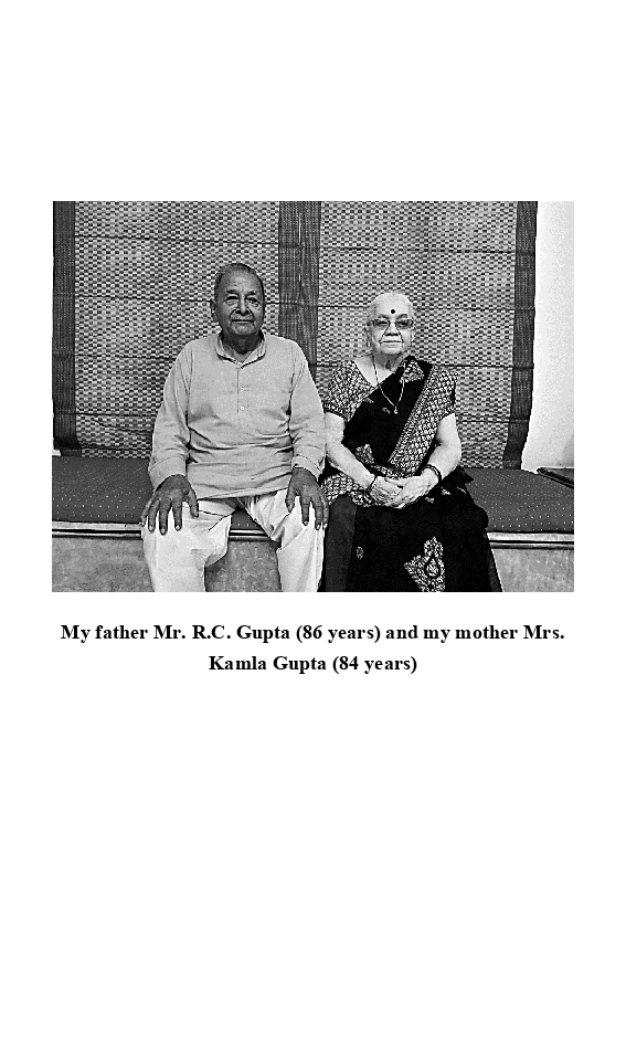 The Dream Chaser - Page 5