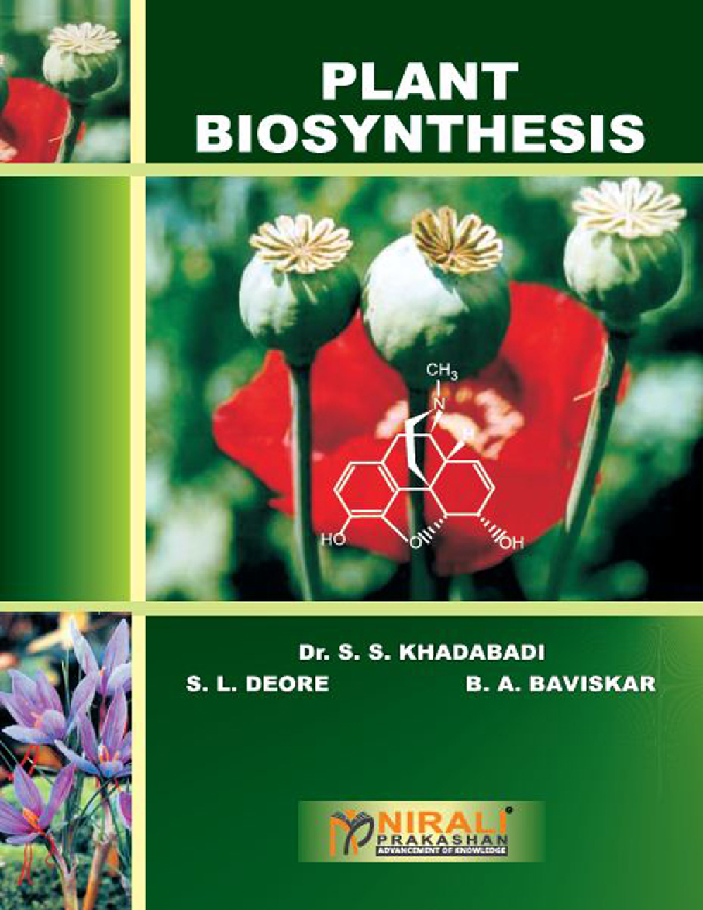 Plant Biosynthesis - Page 1