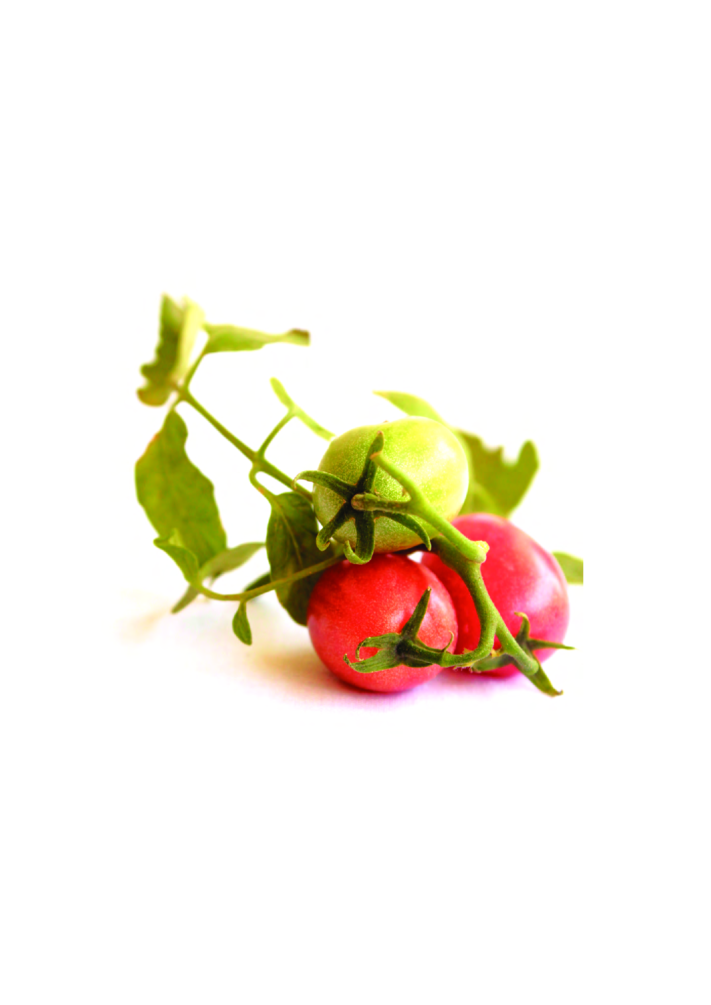 The Daily Gourmet Cook Book  - Page 4