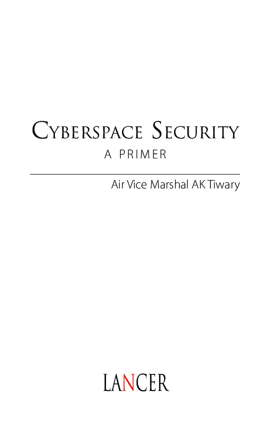 Cyberspace Security A Primer - Page 2