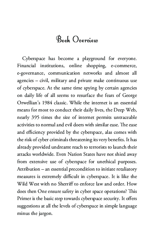 Cyberspace Security A Primer - Page 5