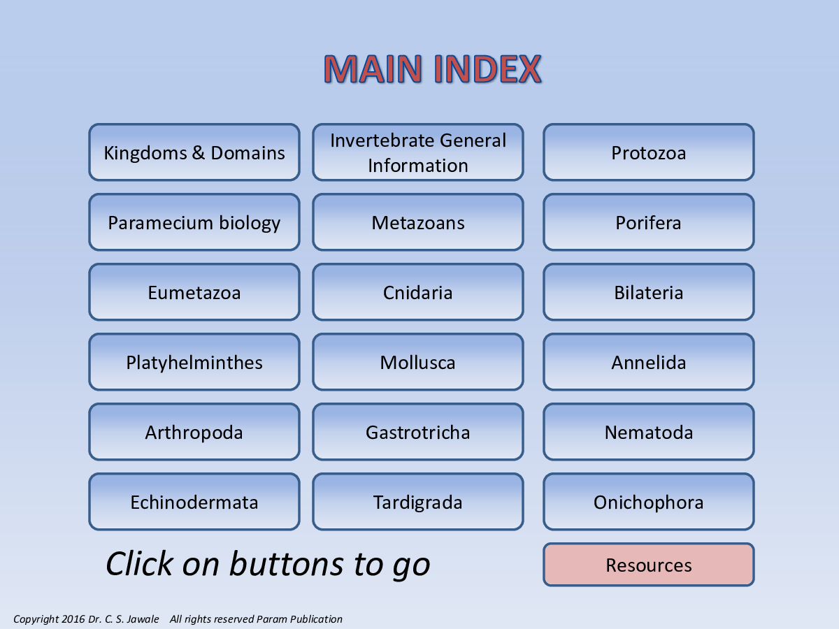 Invertebrate Zoology (Biology) - Page 2