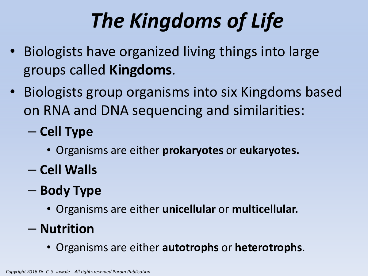 Invertebrate Zoology (Biology) - Page 4