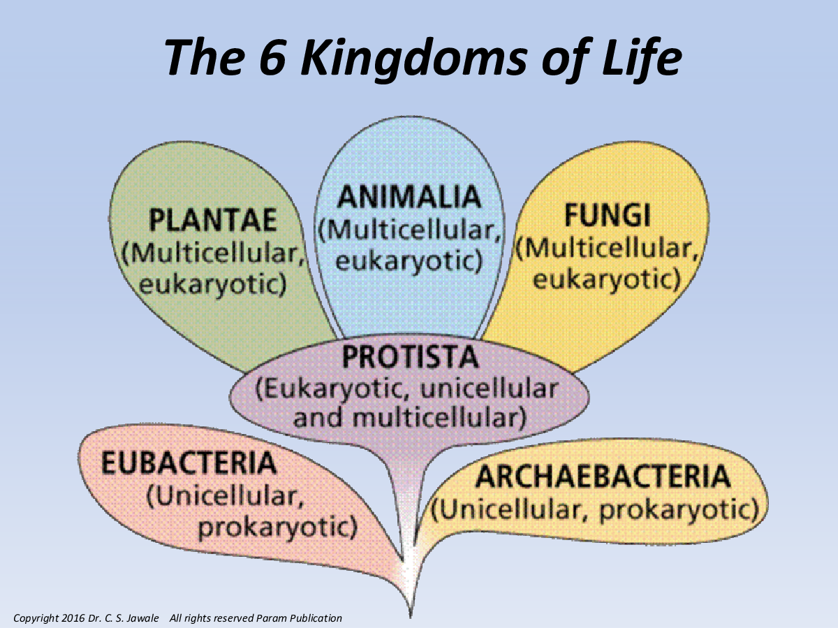 Invertebrate Zoology (Biology) - Page 5