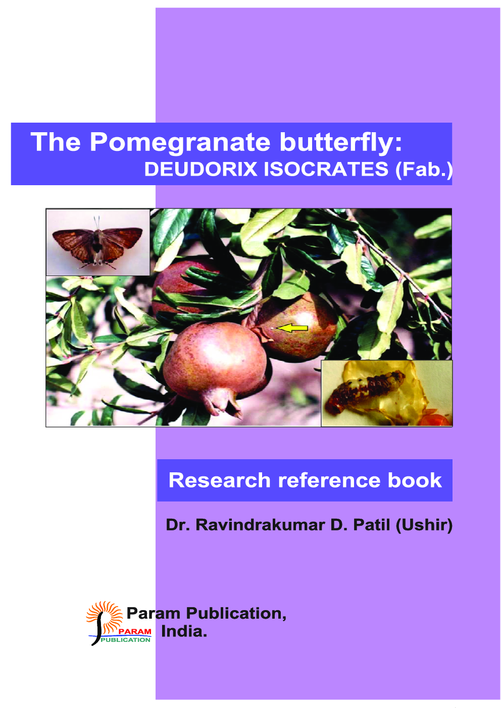 The Pomegranate Butterfly: Deudorix Isocrates (Fab.) - Page 1