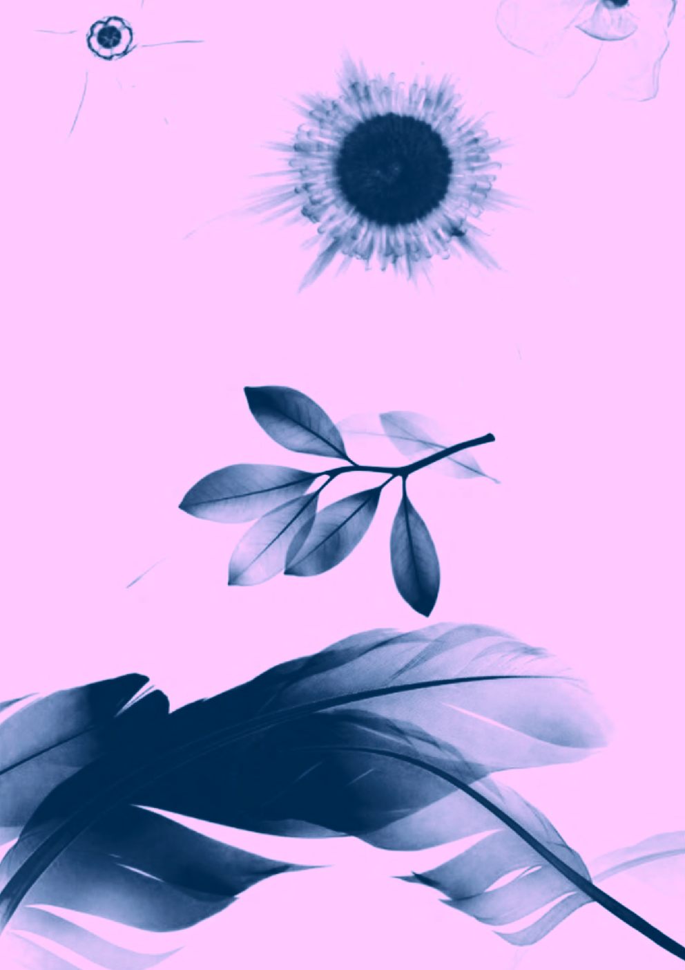 Kota Question Bank Biology For NEET - Page 3