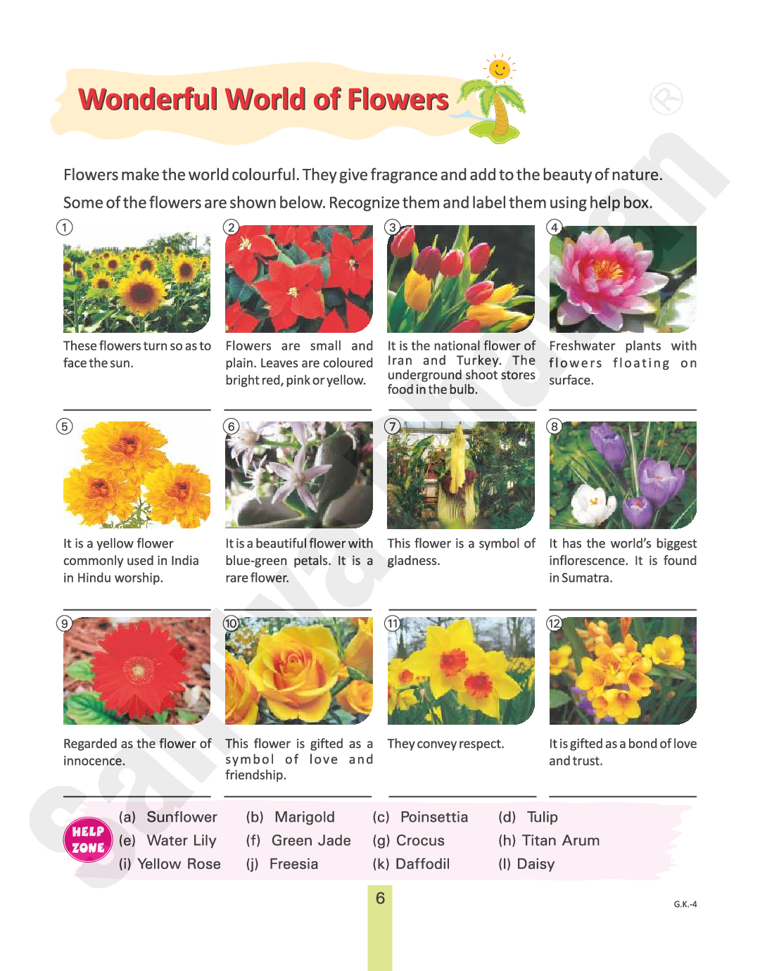 Download General Knowledge Textbook For Class 4 By Deepa Bhandari Pdf Online