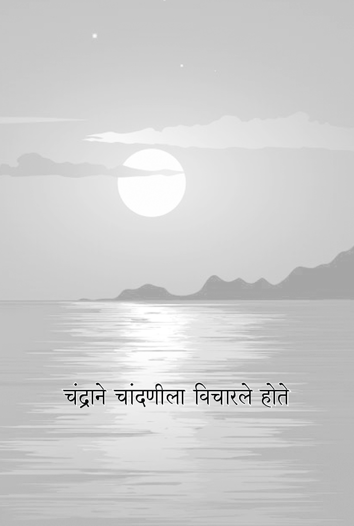 चंद्राने चांदणीला विचारले होते (कवितासंग्रह) - Page 2