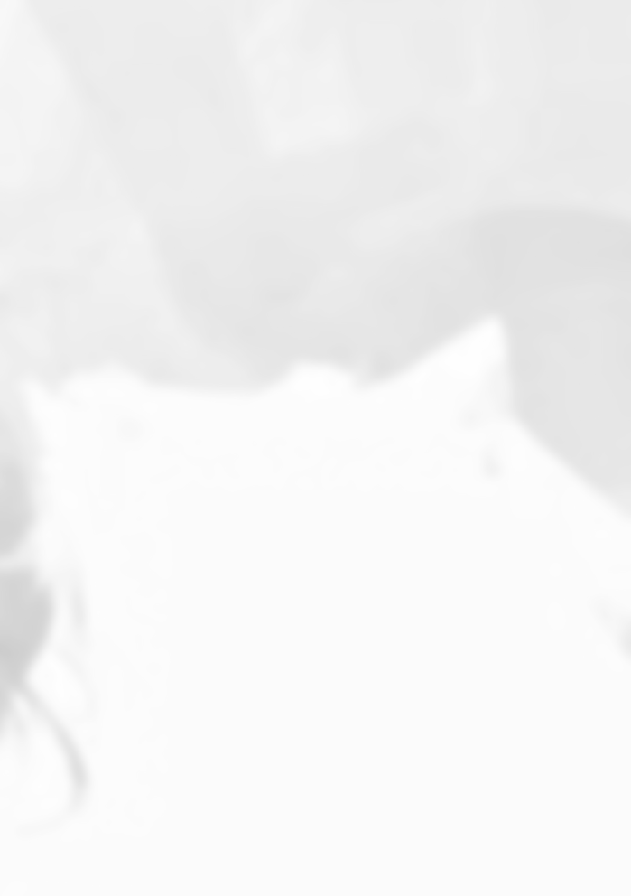 हिसका (महिलाकेंद्रित कवितासंग्रह) - Page 3