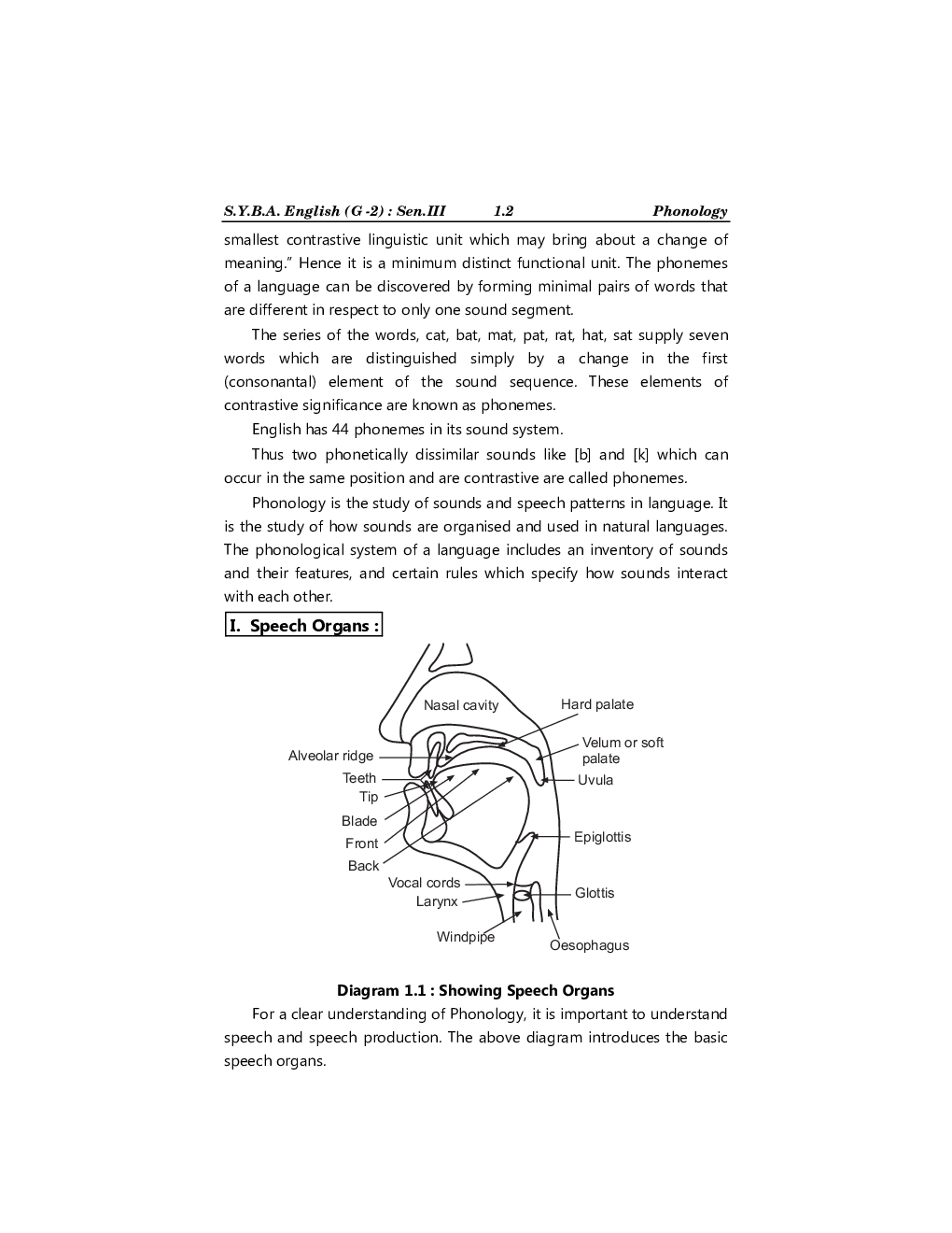 Advanced Study Of English Language Linguistics : An Introduction - Page 5