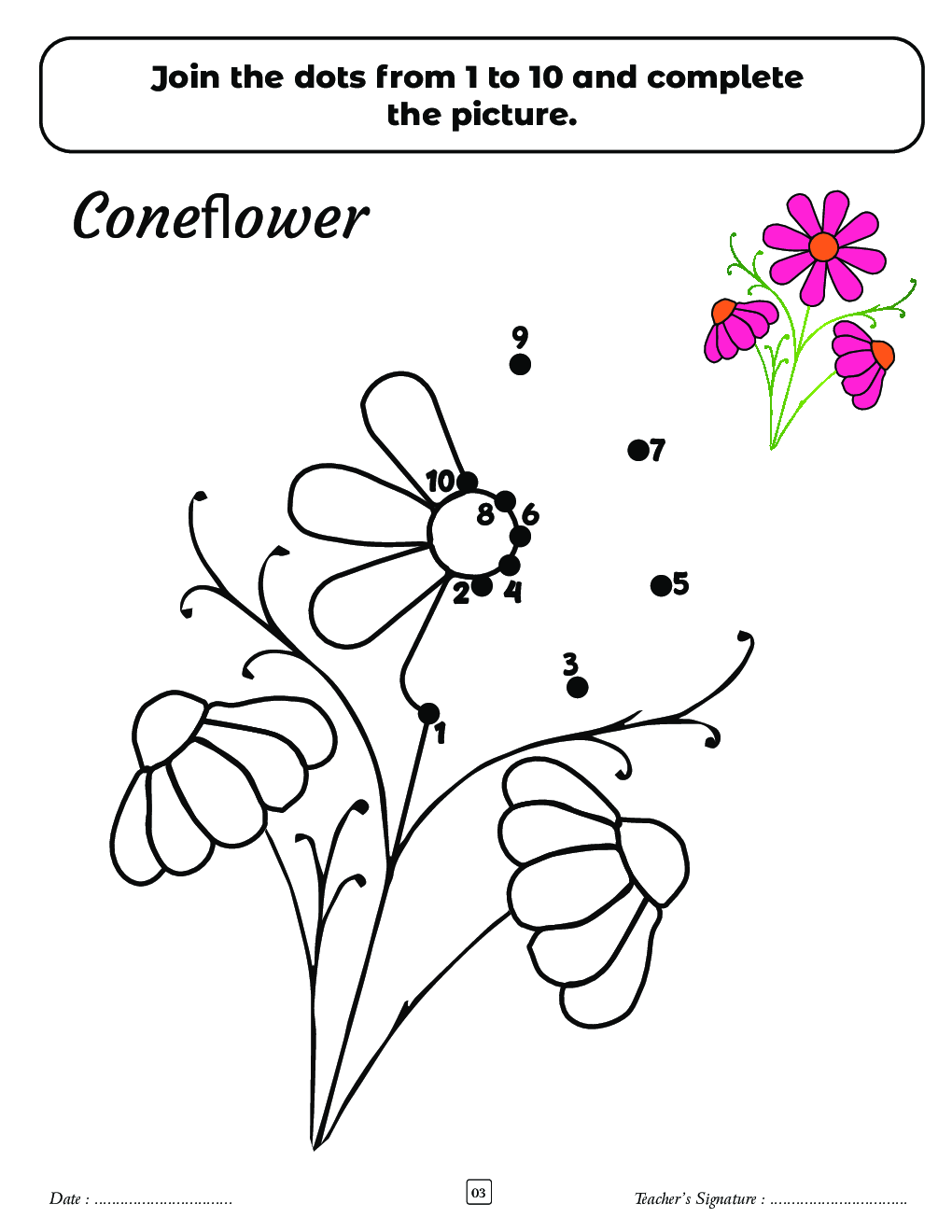 SBB Flowers Dot To Dot Activity Book - Page 4