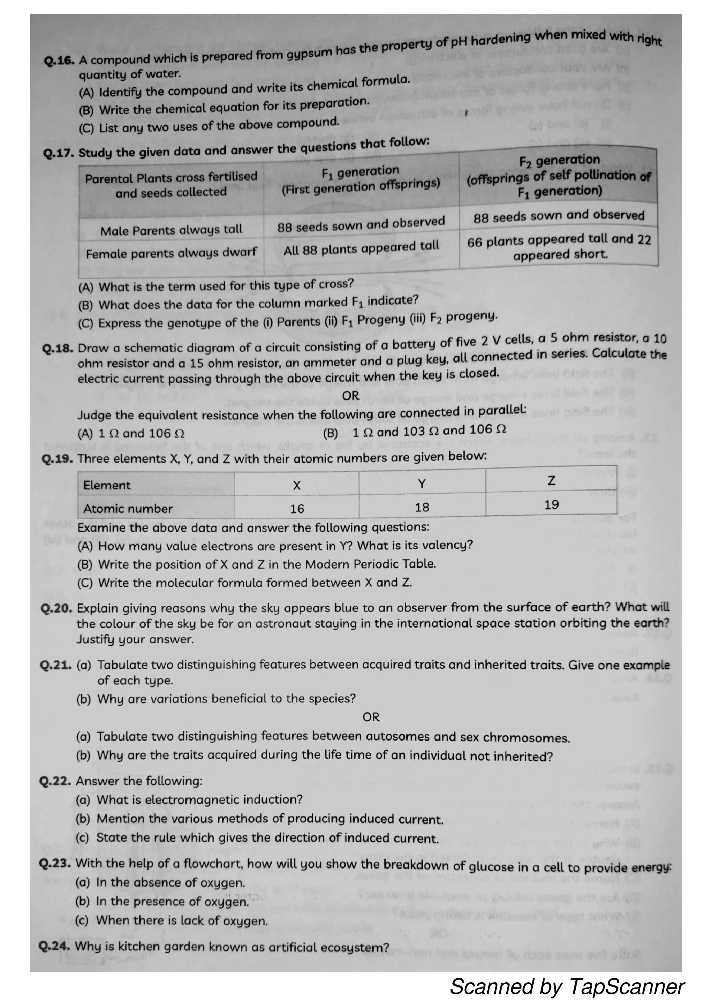 Science Sample Paper 2021 - Page 5