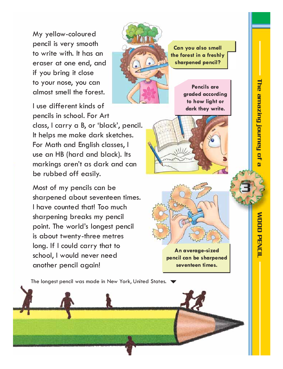 From nature to your home The Amazing Journey of a Wood Pencil - Page 5