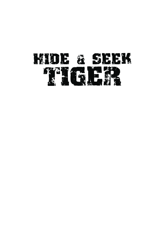 Hide & Seek Tiger   - Page 2