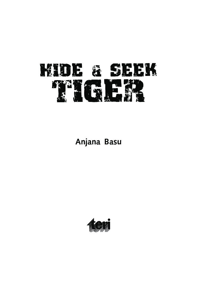 Hide & Seek Tiger   - Page 4