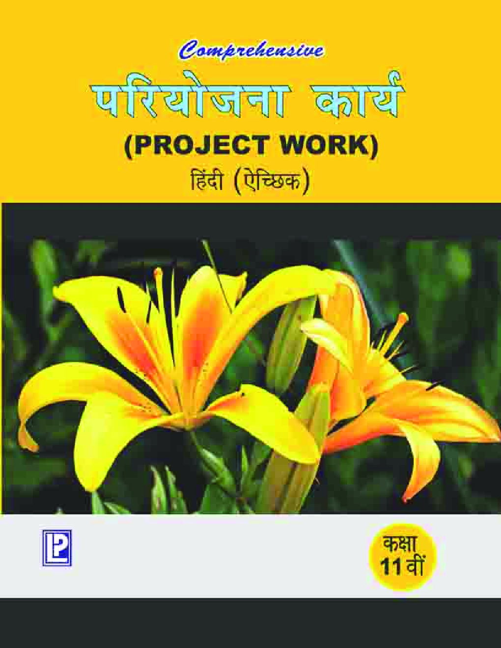 Comprehensive परियोजना कार्य (Project Work) हिंदी (ऐच्छिक) कक्षा -11वीं - Page 1