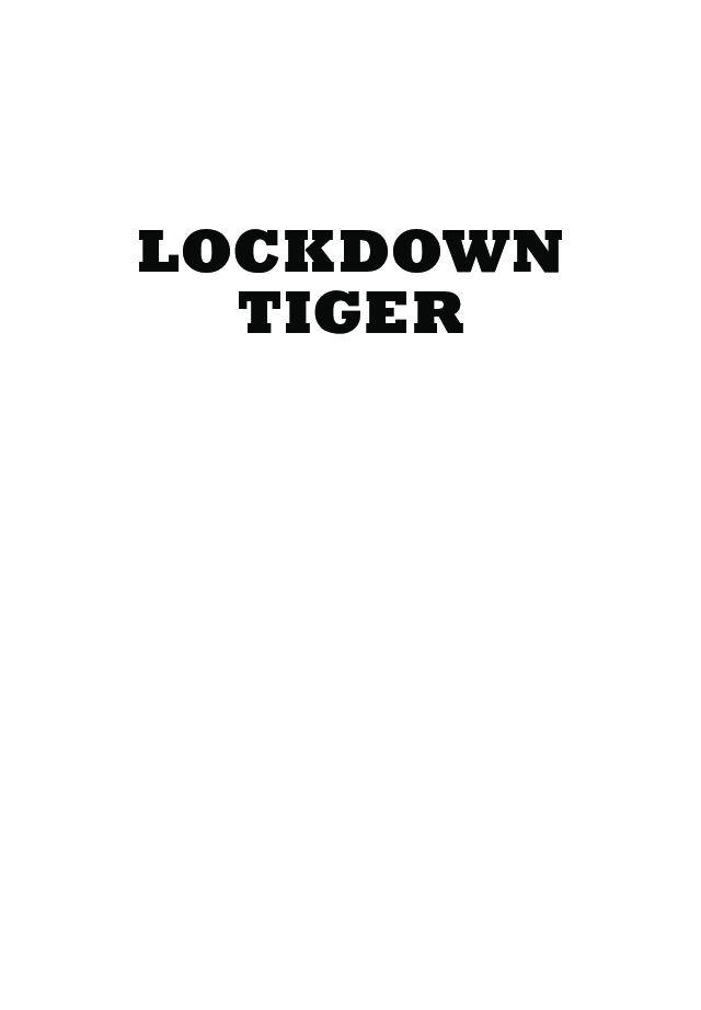 Lockdown Tiger - Page 2