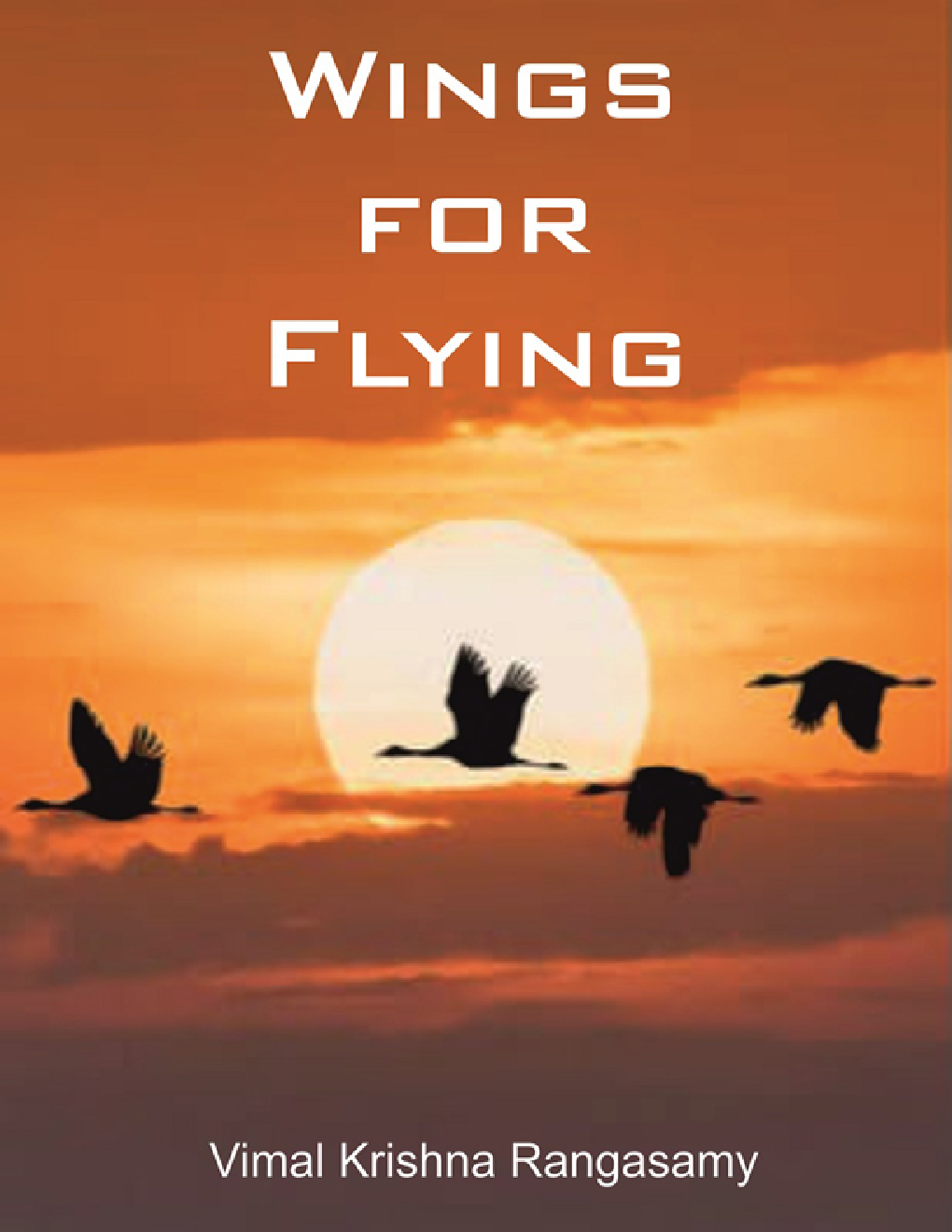 Wings for Flying - Page 1