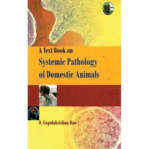 shop Distillers Grains: